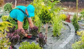 Top landscaping Tips